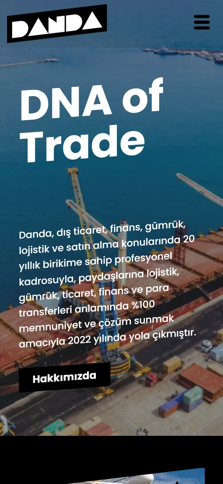Danda sitesinin telefondaki görünümü